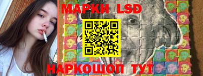 Альфа ПВП Гатчина
