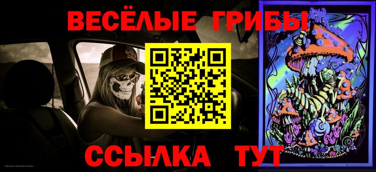 Галлюциногенные грибы Psilocybe Зерноград