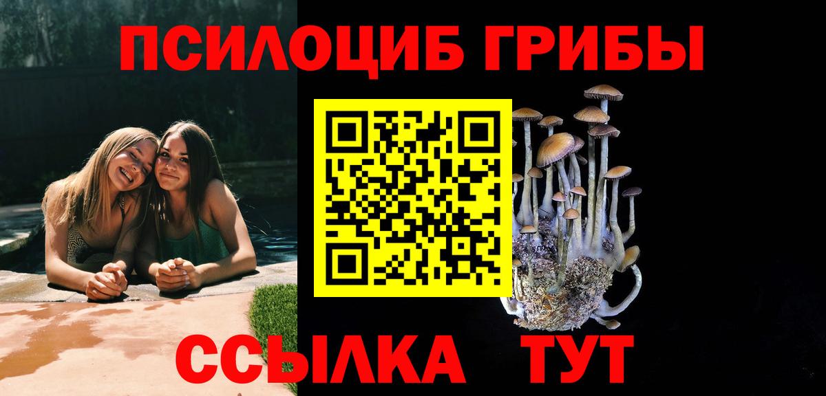 Зерноград  Псилоцибиновые грибы мухоморы  Вход с VPN  Псилоцибиновые грибы Psilocybine cubensis 
